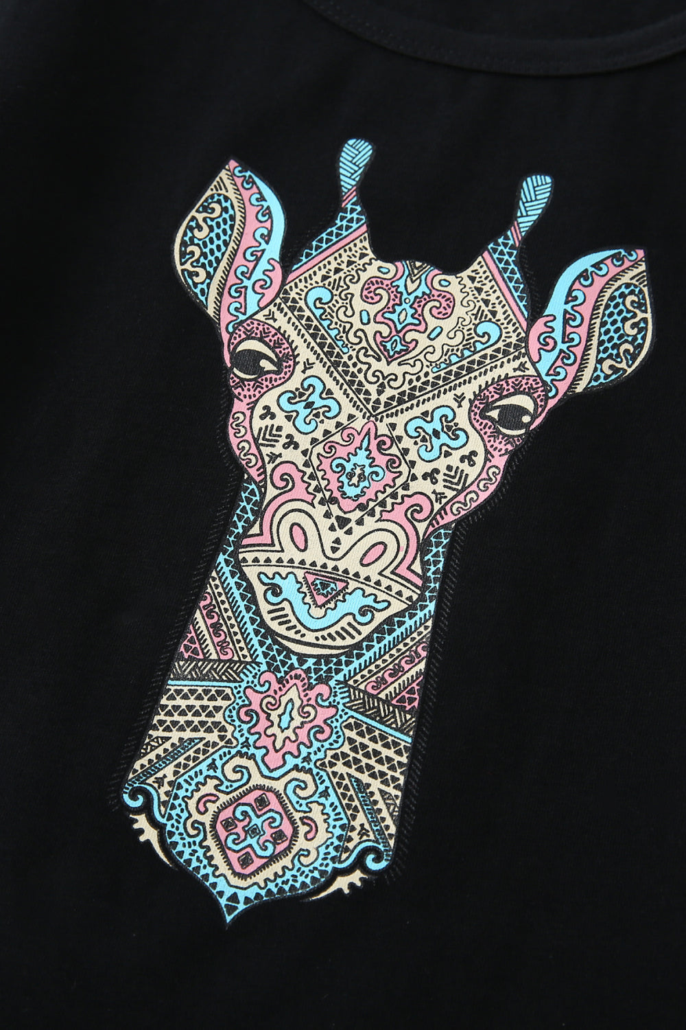 Boys Giraffe Graphic T-shirt and Paisley Shorts Set